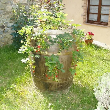 Podere Micitto Usi