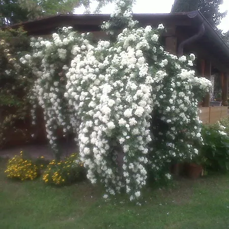 Agriturismo Podere Micitto