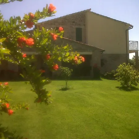 Podere Micitto *