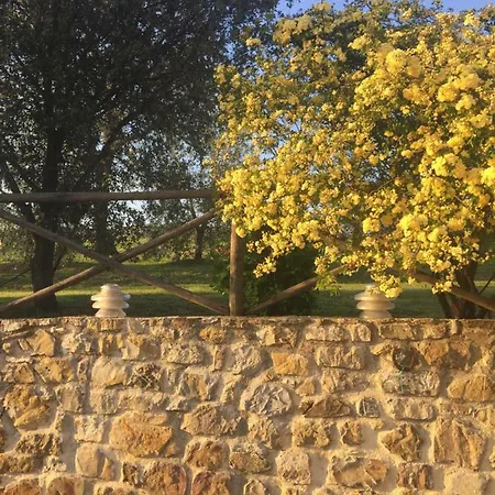 Agriturismo Podere Micitto Фермерский дом